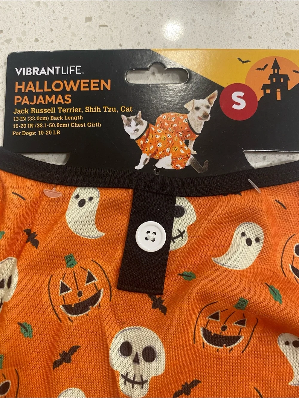 Vibrant cute orange